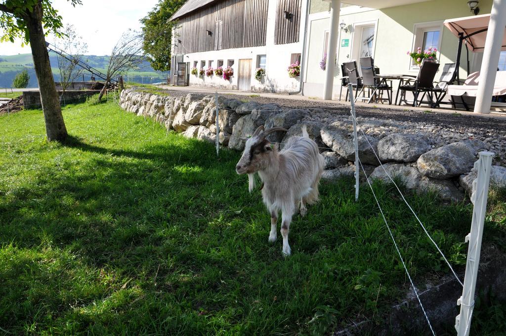 Appartamento Haaghof Ertl Esterno foto